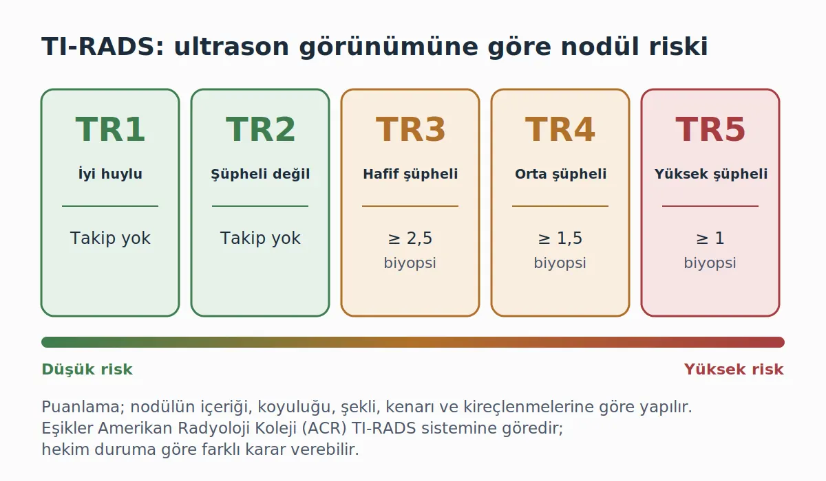 TI-RADS nodül risk kategorileri TR1 ile TR5 arası ve biyopsi eşikleri